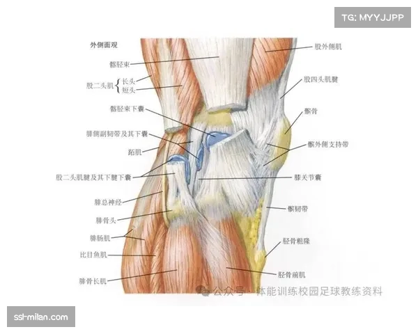 克利福德右腿筋受伤 一周后将进行进一步评估